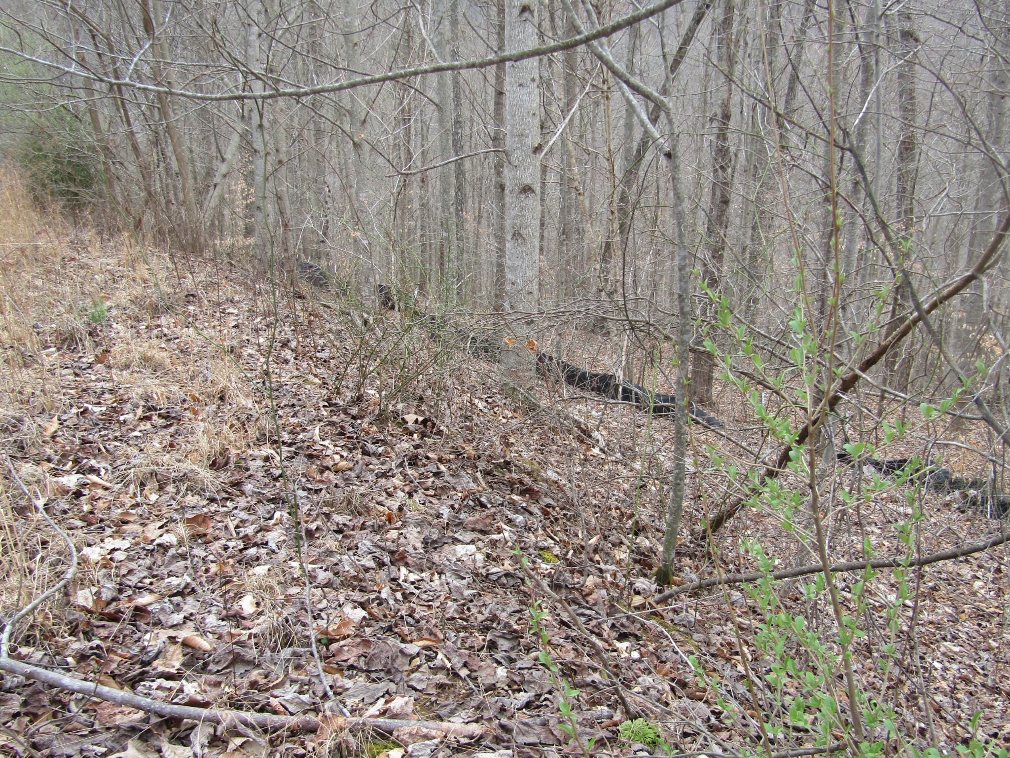 0 Bobcat Lane Wilder TN 38589