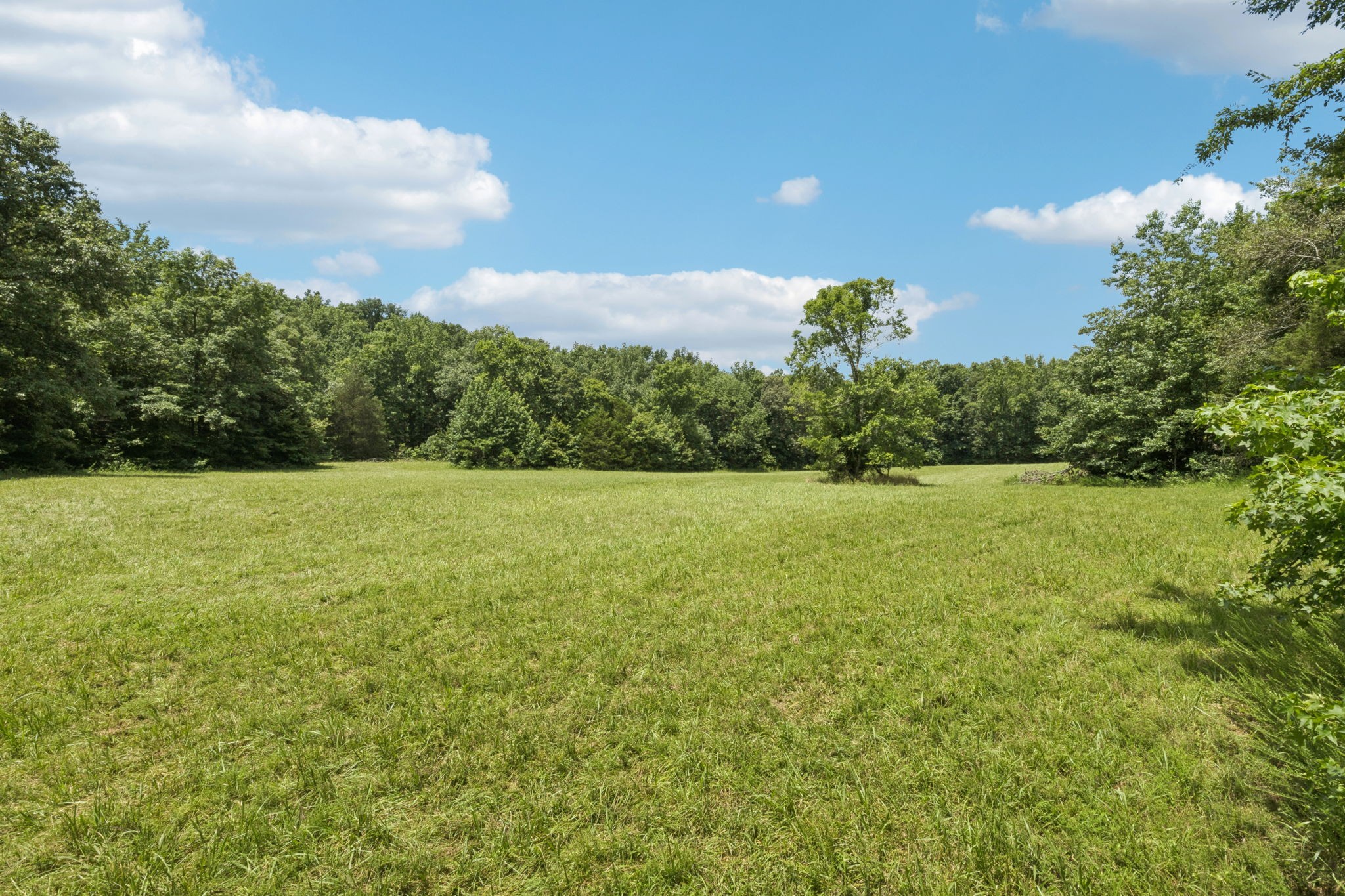 0 Deer Creek Road Mc Ewen TN 37101