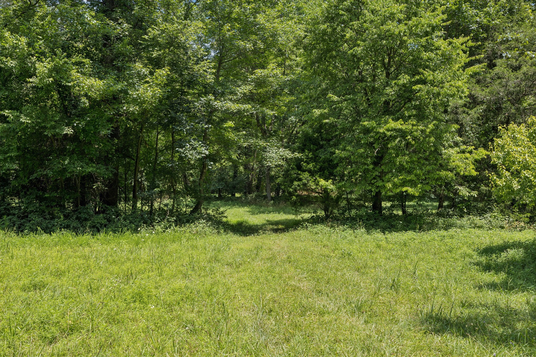 0 Deer Creek Road Mc Ewen TN 37101
