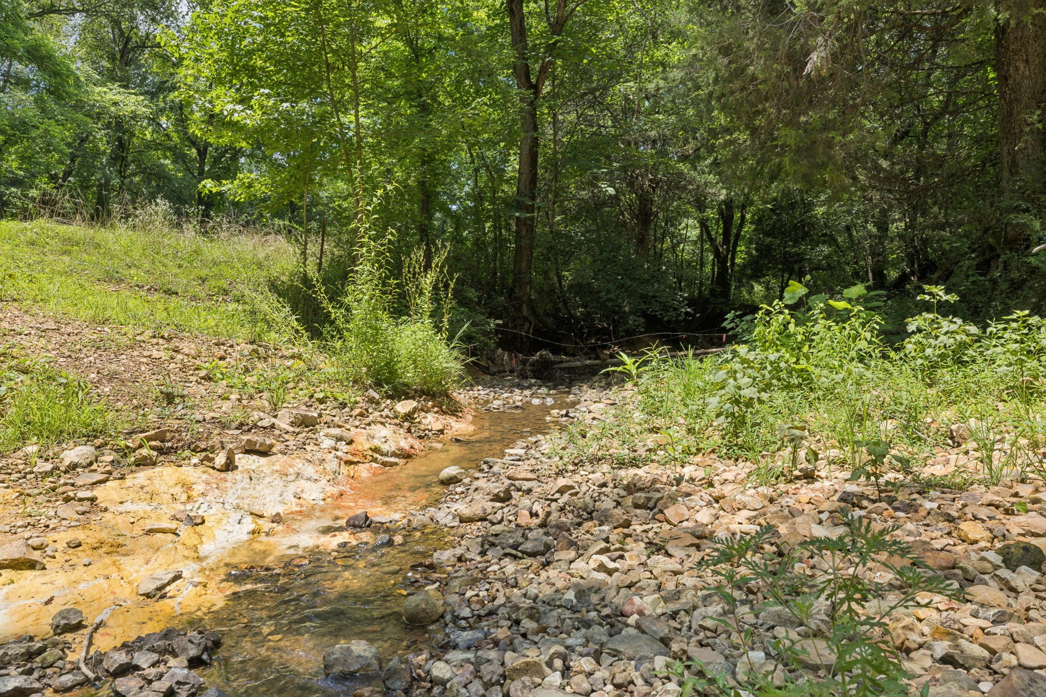 0 Deer Creek Road Mc Ewen TN 37101