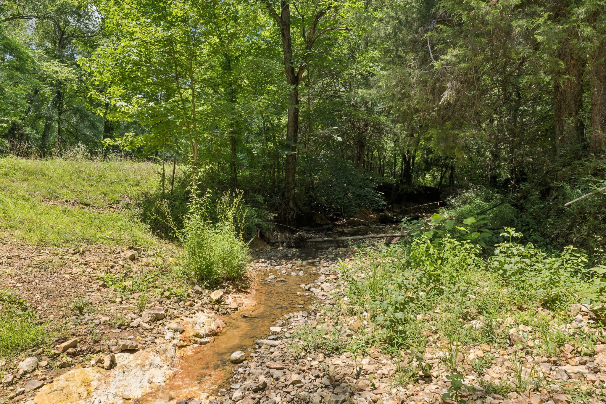 0 Deer Creek Road Mc Ewen TN 37101