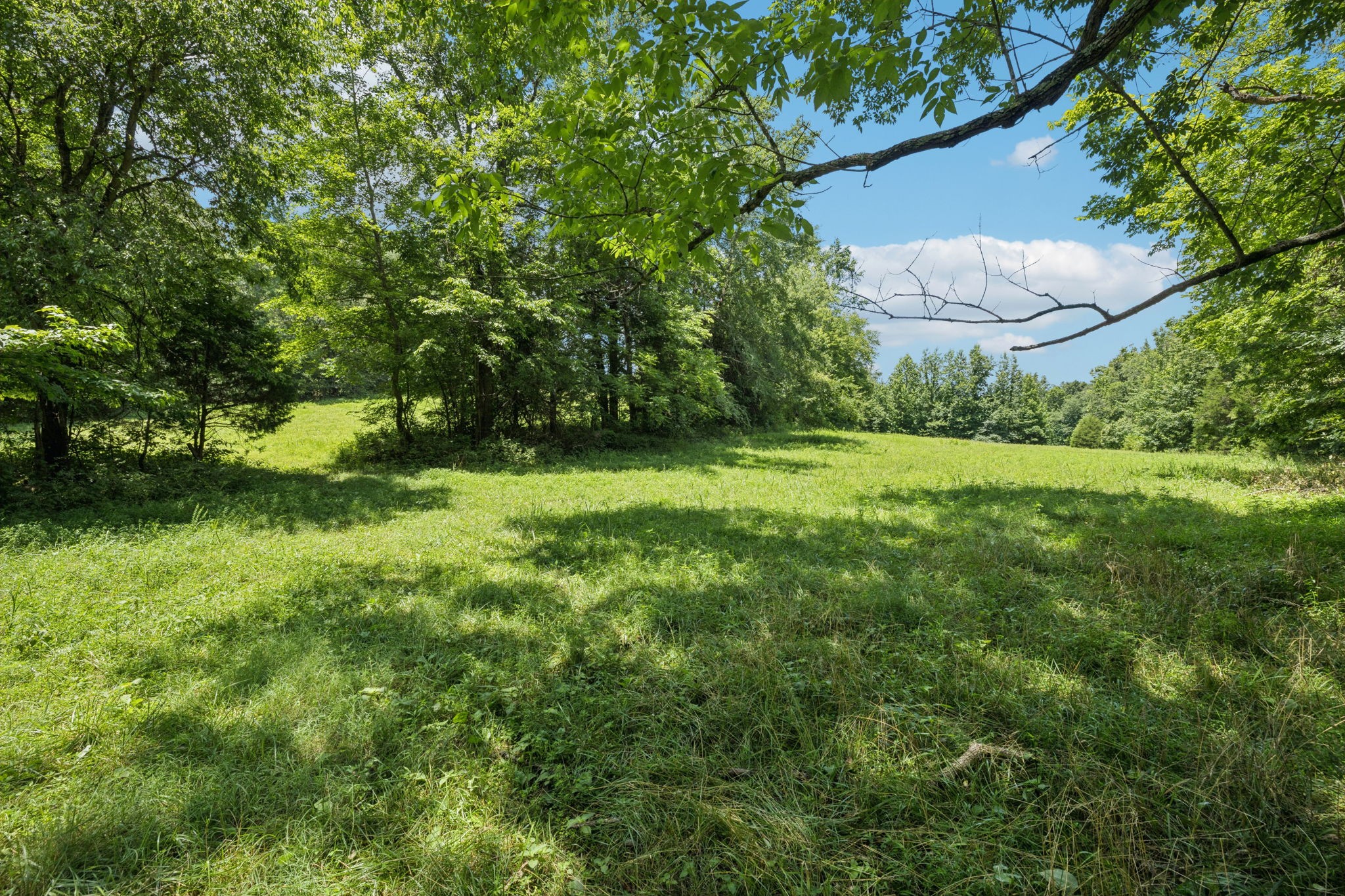 0 Deer Creek Road Mc Ewen TN 37101