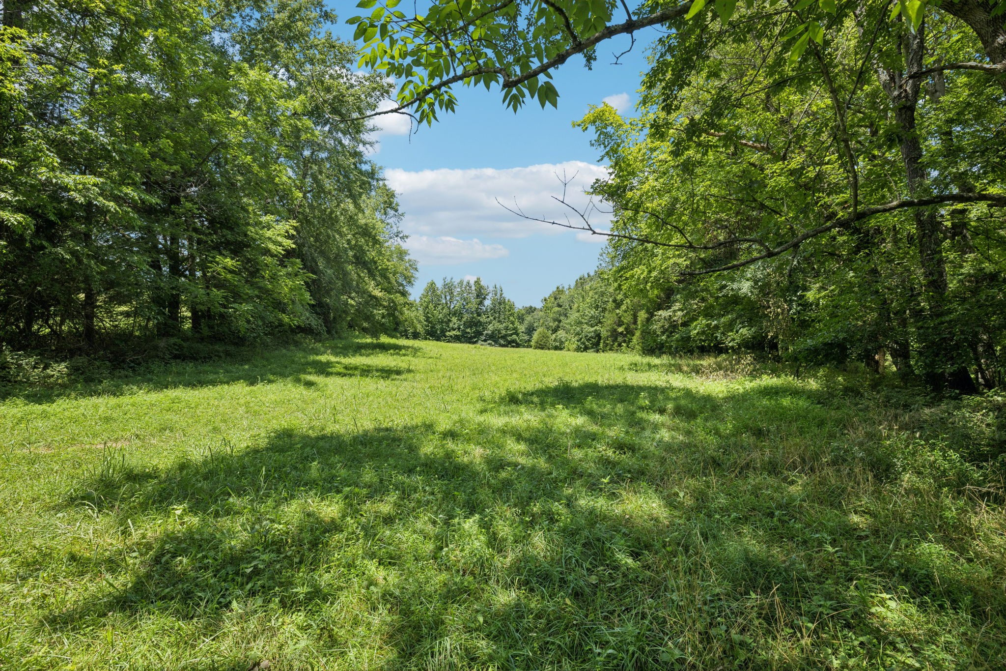 0 Deer Creek Road Mc Ewen TN 37101