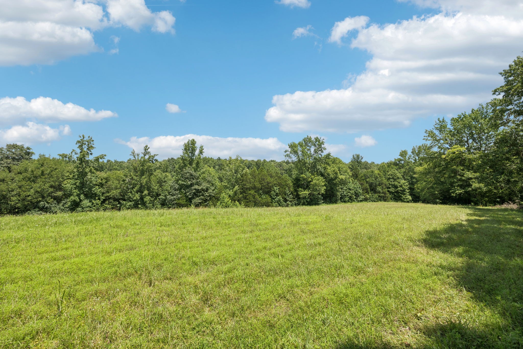 0 Deer Creek Road Mc Ewen TN 37101