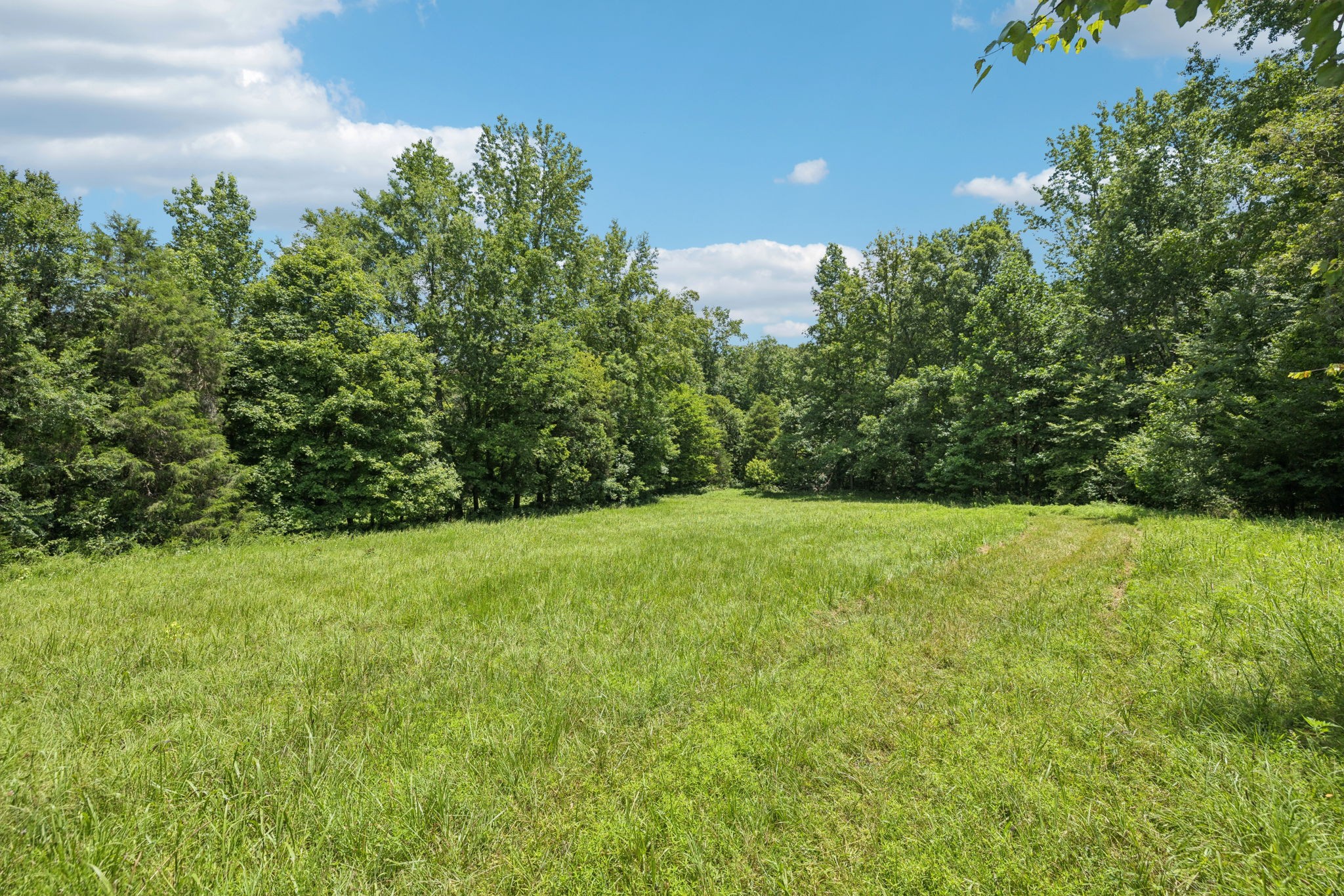 0 Deer Creek Road Mc Ewen TN 37101