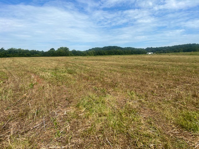 0 Highway 130 W Shelbyville TN 37160
