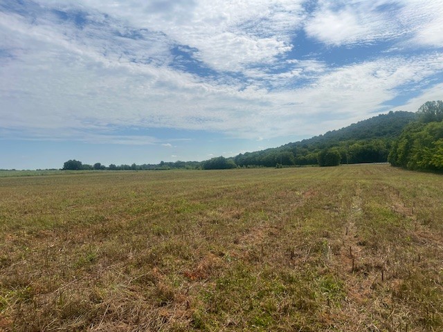 0 Highway 130 W Shelbyville TN 37160