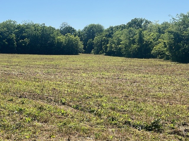 0 Highway 130 W Shelbyville TN 37160