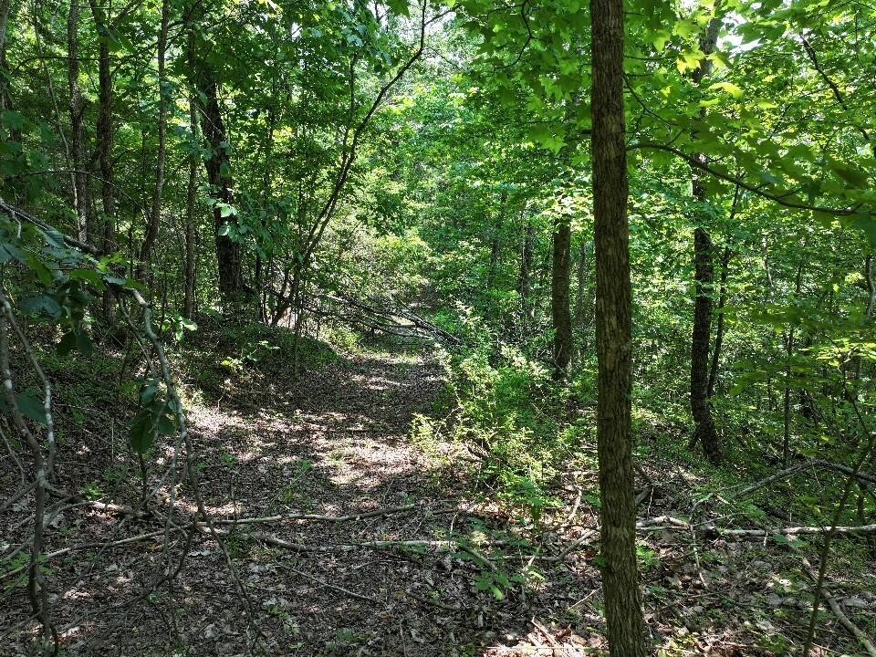 0 Cherry Lane Celina TN 38551