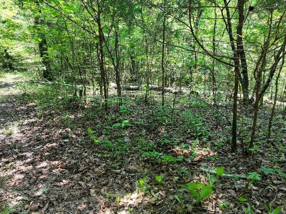 0 Cherry Lane Celina TN 38551