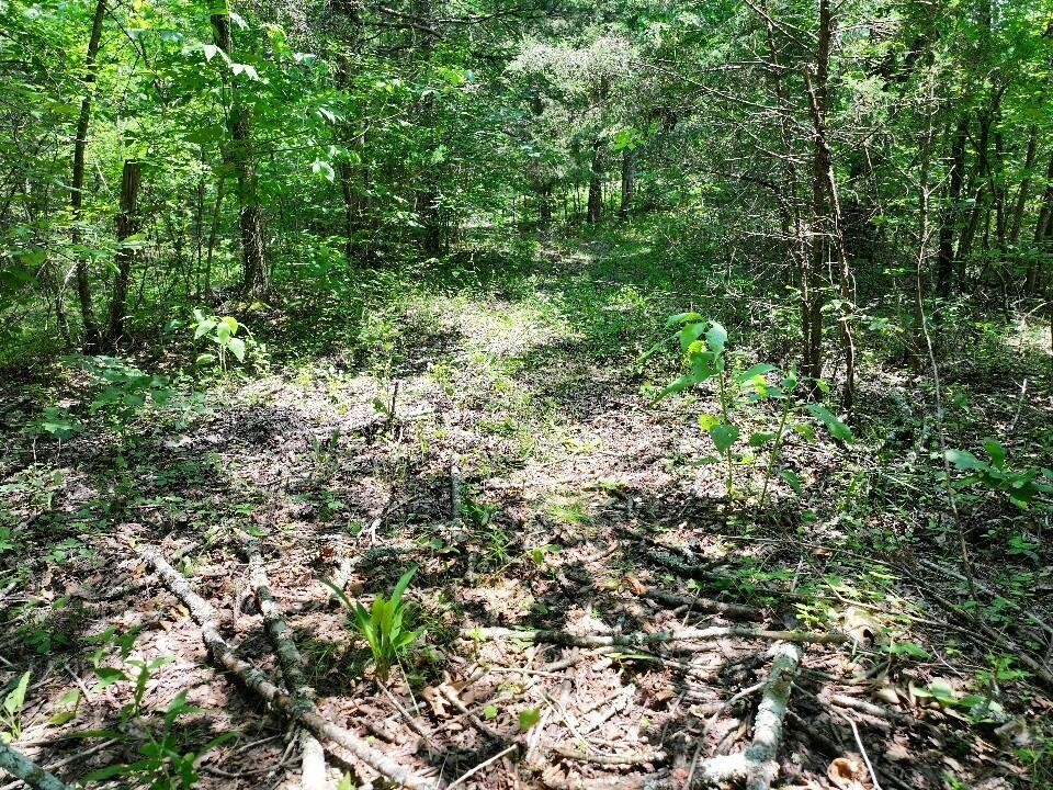 0 Cherry Lane Celina TN 38551