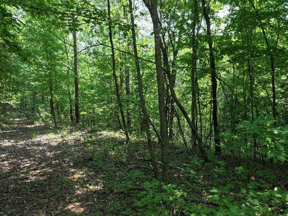 0 Cherry Lane Celina TN 38551