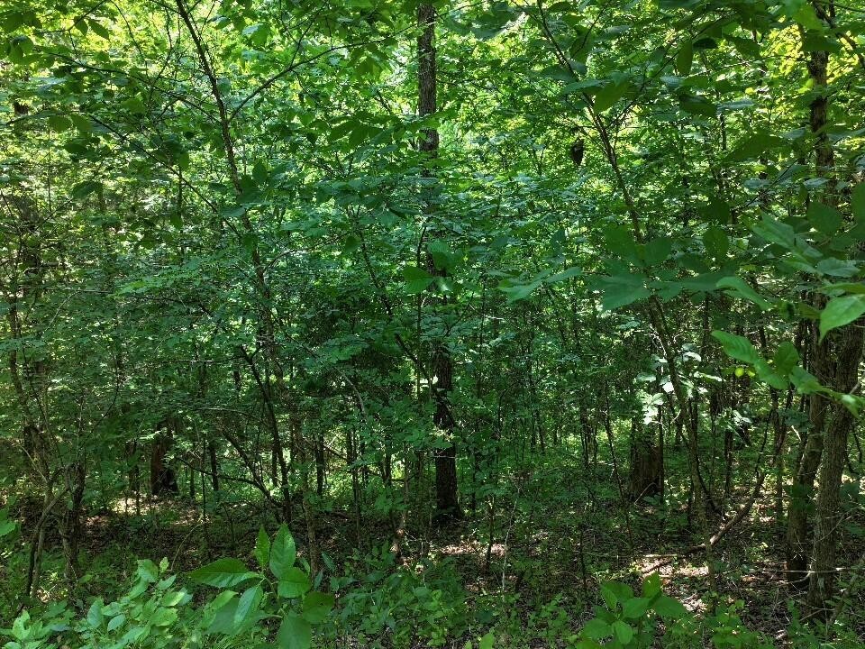 0 Cherry Lane Celina TN 38551