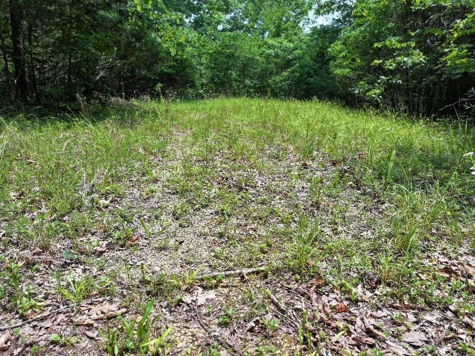 0 Cherry Lane Celina TN 38551