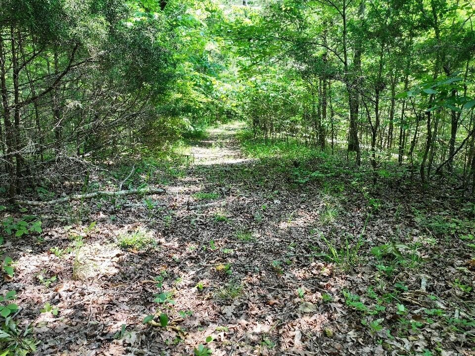0 Cherry Lane Celina TN 38551