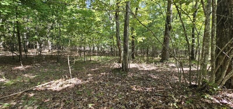 327 2 Lake Trail Dunlap TN 37327