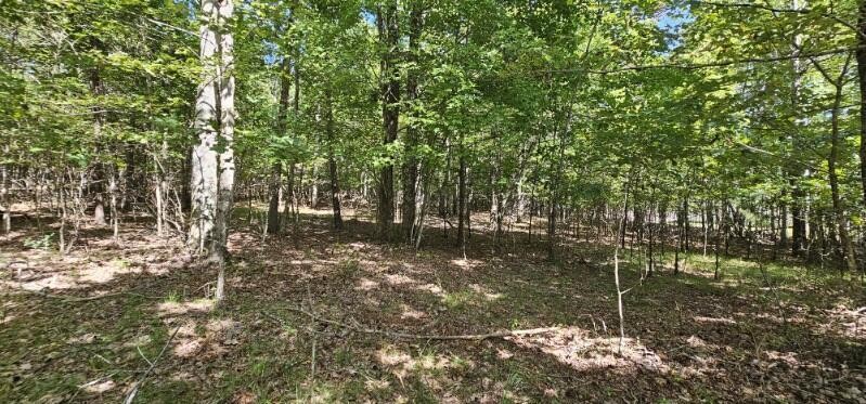 327 2 Lake Trail Dunlap TN 37327