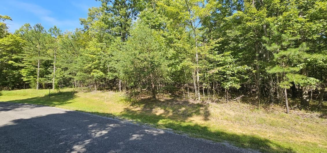 327 2 Lake Trail Dunlap TN 37327