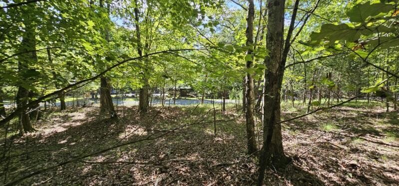 327 2 Lake Trail Dunlap TN 37327