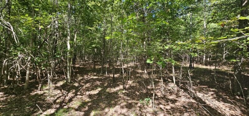 327 2 Lake Trail Dunlap TN 37327