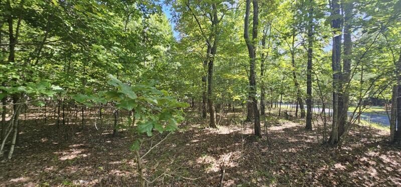 327 2 Lake Trail Dunlap TN 37327