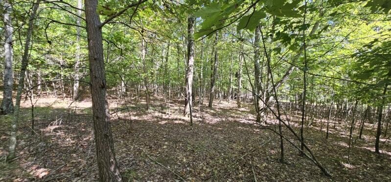 327 2 Lake Trail Dunlap TN 37327