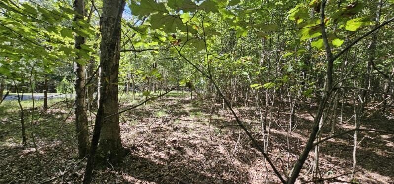 327 2 Lake Trail Dunlap TN 37327