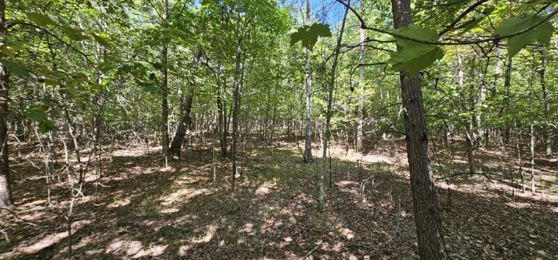 327 2 Lake Trail Dunlap TN 37327