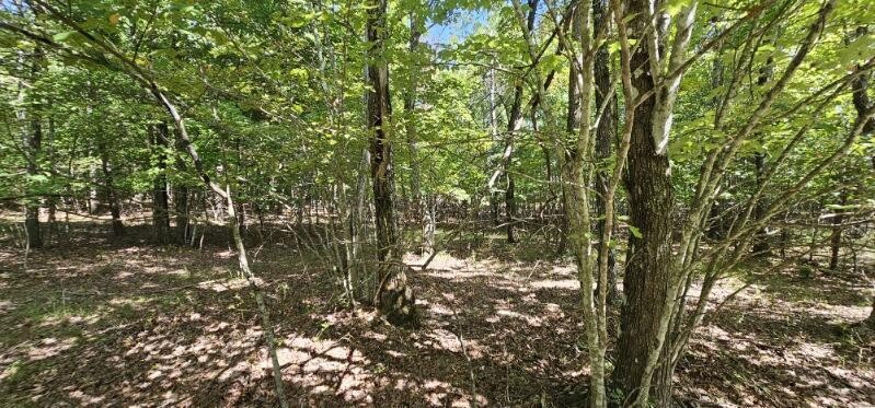 327 2 Lake Trail Dunlap TN 37327