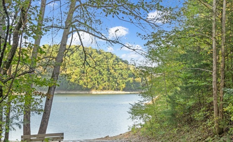 0 Hurricane Drive Smithville TN 37166