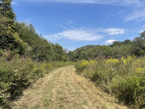 0 Mcburg Dellrose Road Tract 2 Dellrose TN 38453