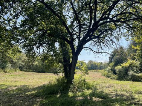 0 Mcburg Dellrose Road Tract 2 Dellrose TN 38453