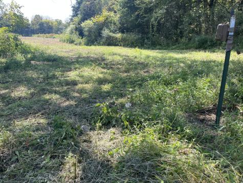 0 Mcburg Dellrose Road Tract 2 Dellrose TN 38453