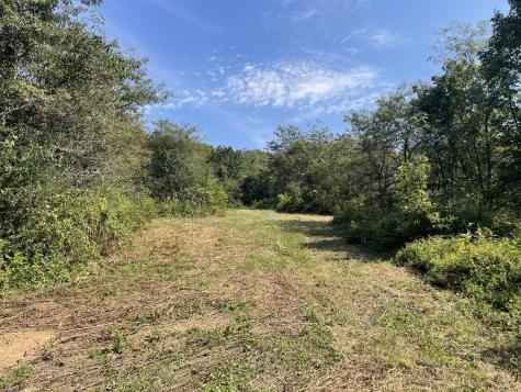 0 Mcburg Dellrose Road Tract 2 Dellrose TN 38453