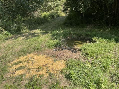 0 Mcburg Dellrose Road Tract 2 Dellrose TN 38453