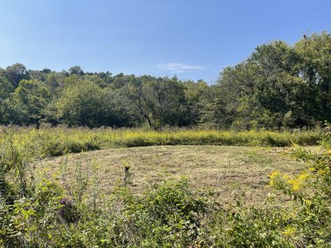 0 Mcburg Dellrose Road Tract 2 Dellrose TN 38453