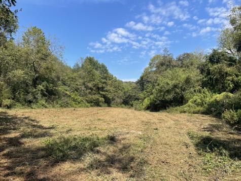 0 Mcburg Dellrose Road Tract 2 Dellrose TN 38453