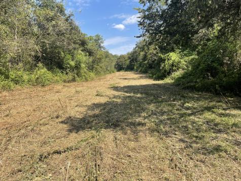 0 Mcburg Dellrose Road Tract 2 Dellrose TN 38453