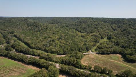 0 Mcburg Dellrose Road Tract 2 Dellrose TN 38453