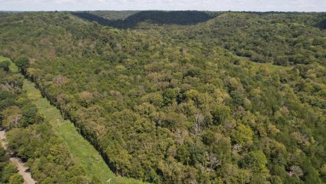 0 Mcburg Dellrose Road Tract 2 Dellrose TN 38453