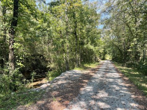 0 Mcburg Dellrose Road Tract 2 Dellrose TN 38453