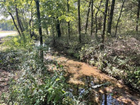 0 Mcburg Dellrose Road Tract 2 Dellrose TN 38453