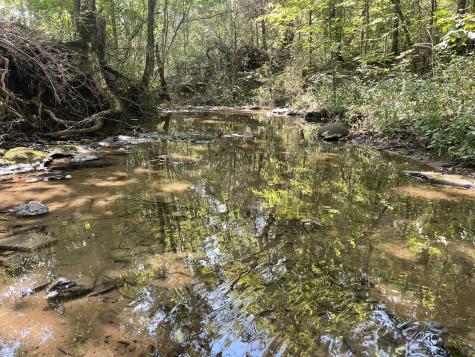 0 Mcburg Dellrose Road Tract 2 Dellrose TN 38453