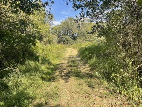 0 Mcburg Dellrose Road Tract 2 Dellrose TN 38453