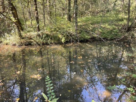 0 Mcburg Dellrose Road Tract 2 Dellrose TN 38453