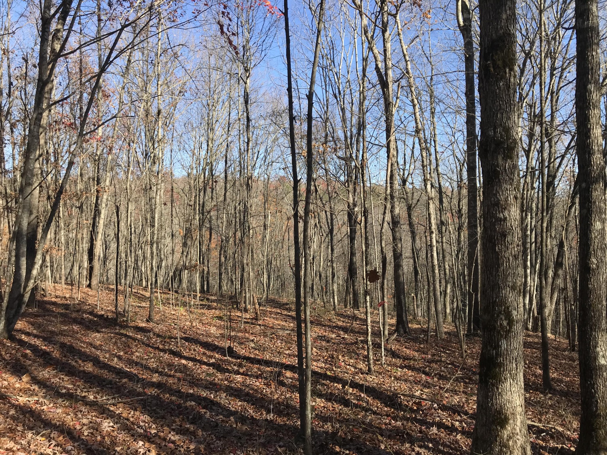 5 Hobbstown Road Dunlap TN 37327