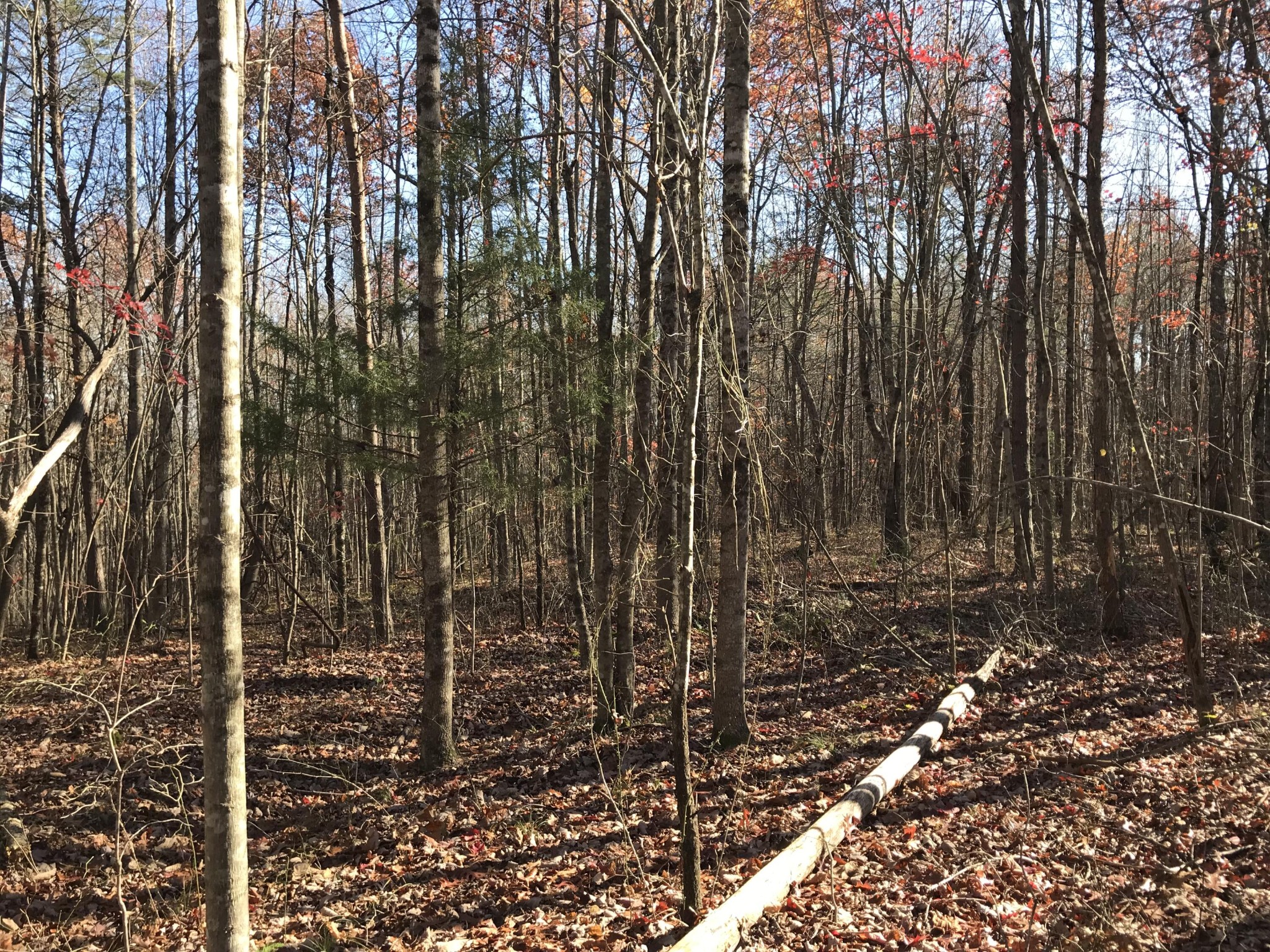 5 Hobbstown Road Dunlap TN 37327