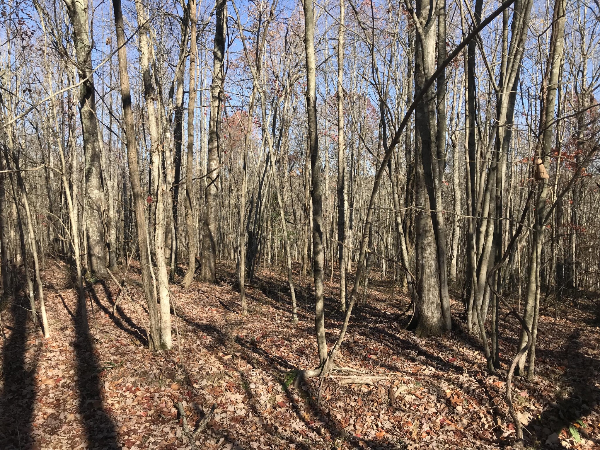 5 Hobbstown Road Dunlap TN 37327