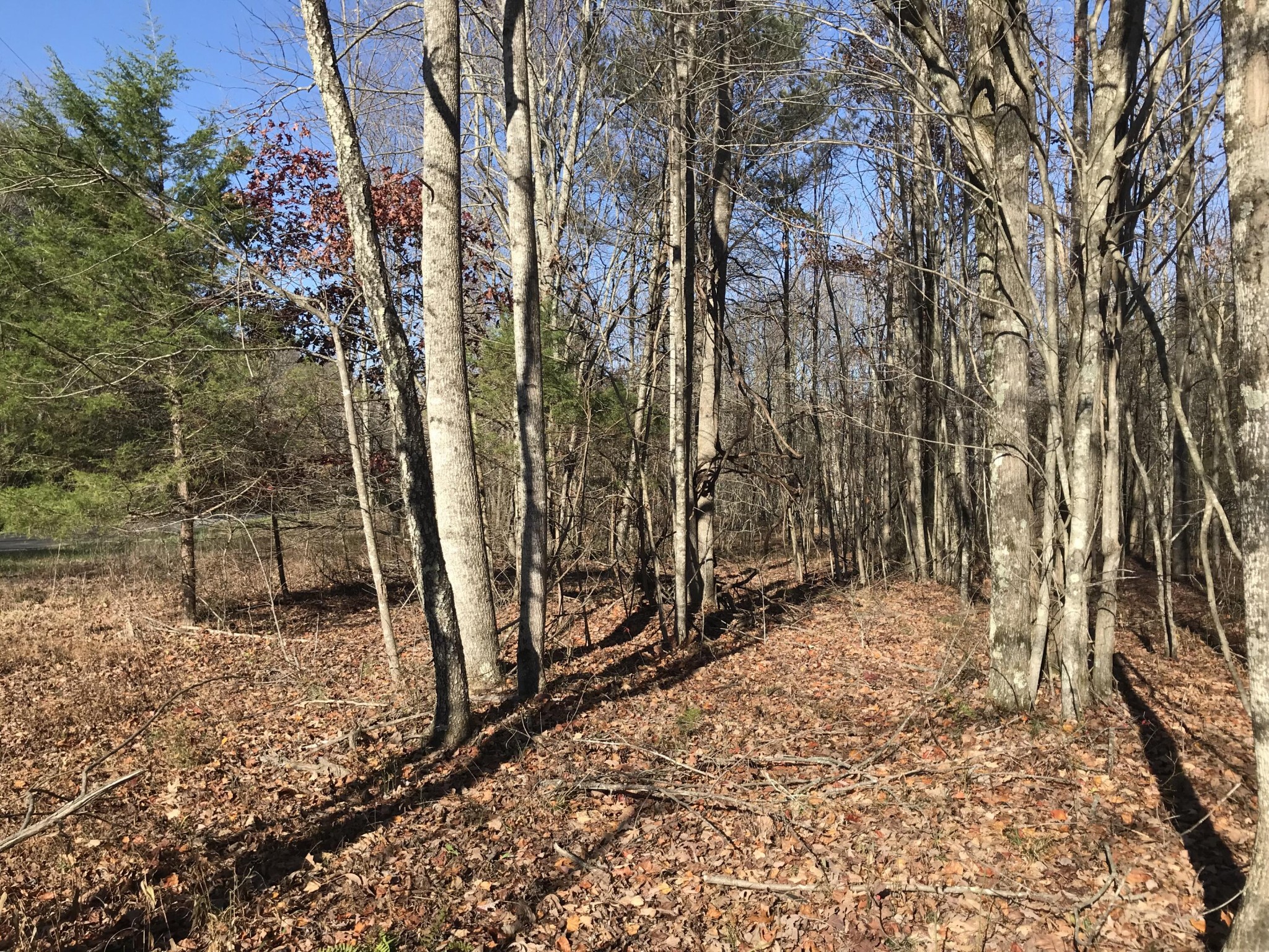 5 Hobbstown Road Dunlap TN 37327