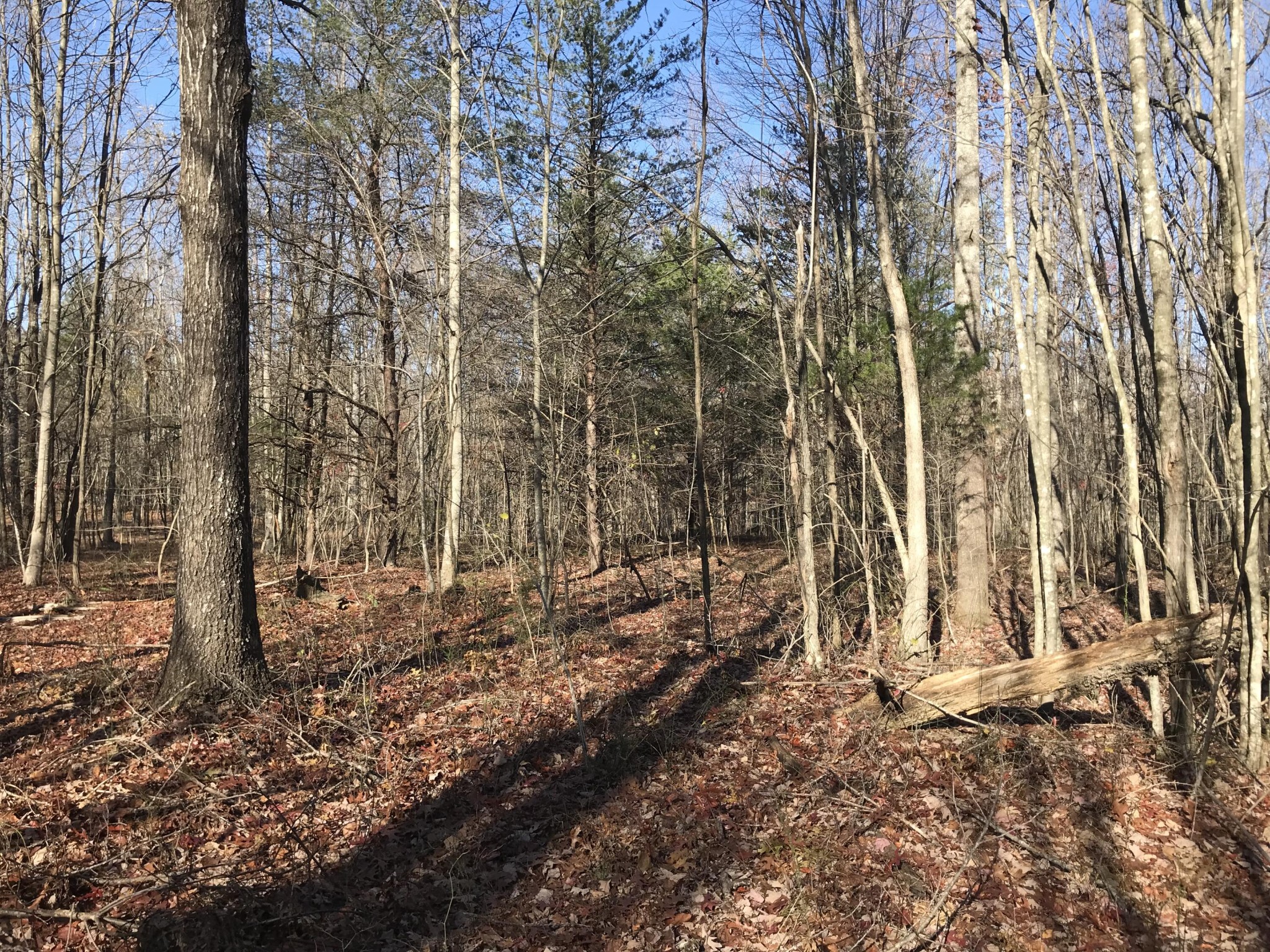 5 Hobbstown Road Dunlap TN 37327